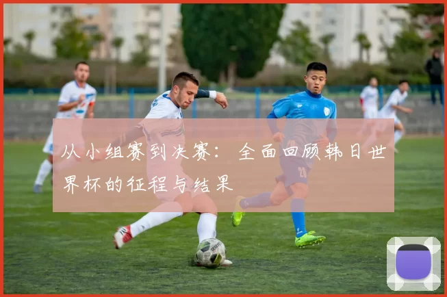 从小组赛到决赛:全面回顾韩日世界杯的征程与结果
