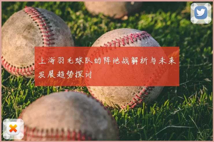 上海羽毛球队的阵地战解析与未来发展趋势探讨