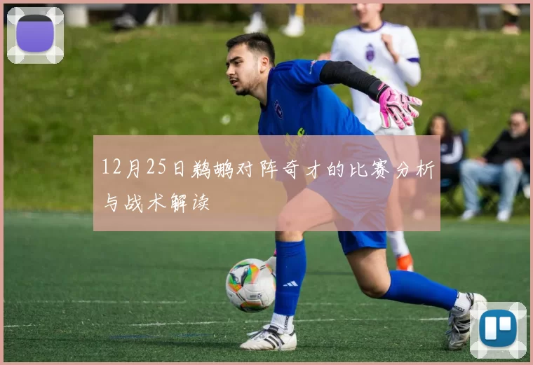 12月25日鹈鹕对阵奇才的比赛分析与战术解读