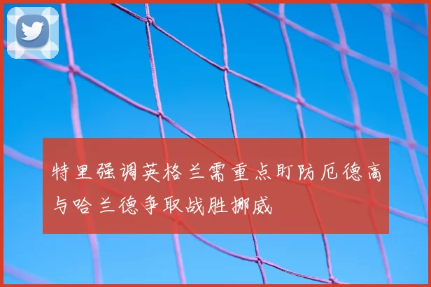 特里强调英格兰需重点盯防厄德高与哈兰德争取战胜挪威