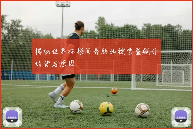 揭秘世界杯期间香肠狗搜索量飙升的背后原因