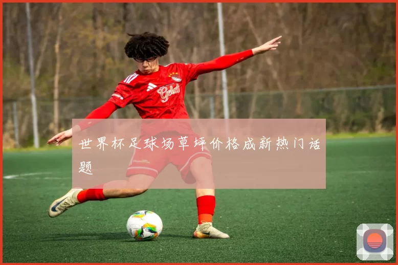 世界杯足球场草坪价格成新热门话题