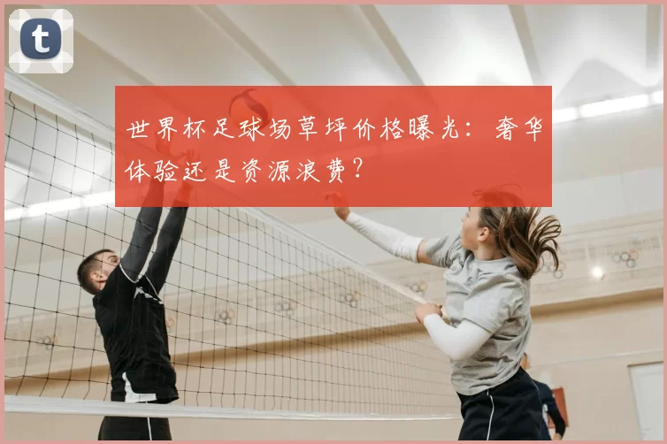 世界杯足球场草坪价格曝光:奢华体验还是资源浪费?