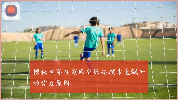 揭秘世界杯期间香肠狗搜索量飙升的背后原因