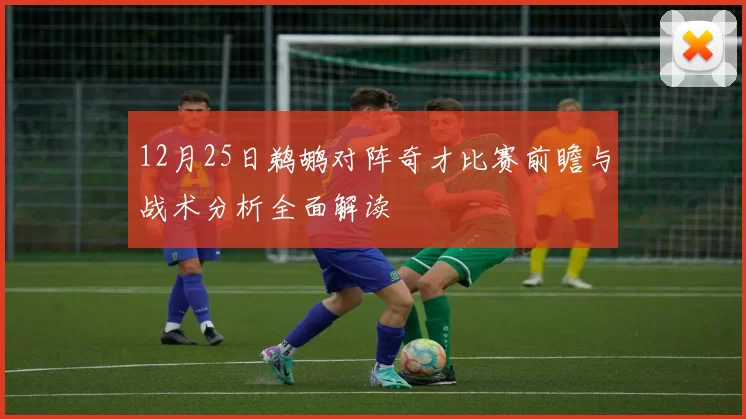 12月25日鹈鹕对阵奇才比赛前瞻与战术分析全面解读