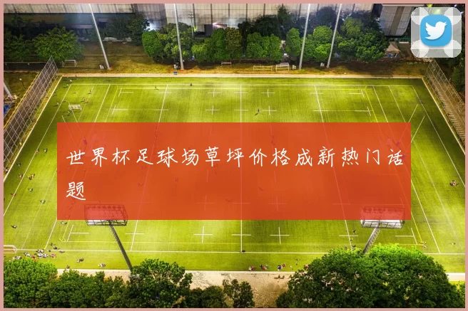 世界杯足球场草坪价格成新热门话题