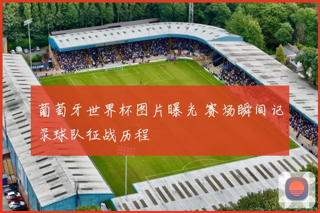 葡萄牙世界杯图片曝光 赛场瞬间记录球队征战历程