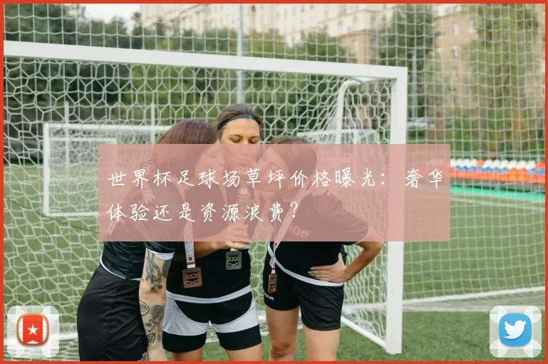 世界杯足球场草坪价格曝光:奢华体验还是资源浪费?