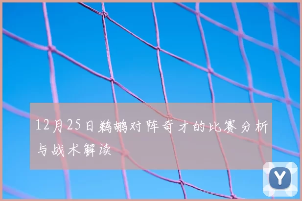 12月25日鹈鹕对阵奇才的比赛分析与战术解读